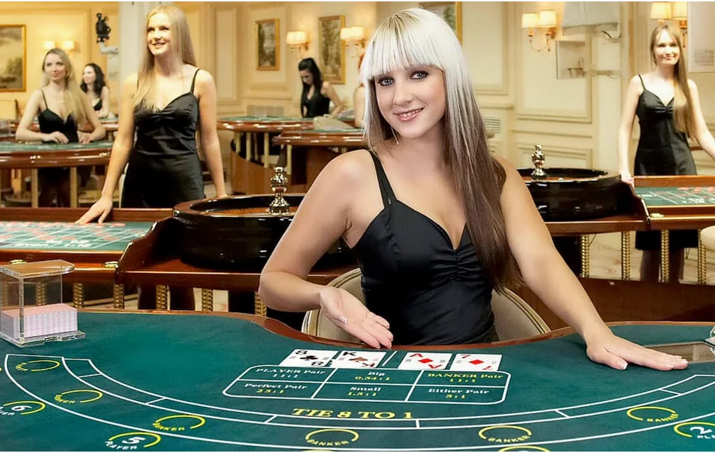 Dealer memandu permainan kartu di meja live casino